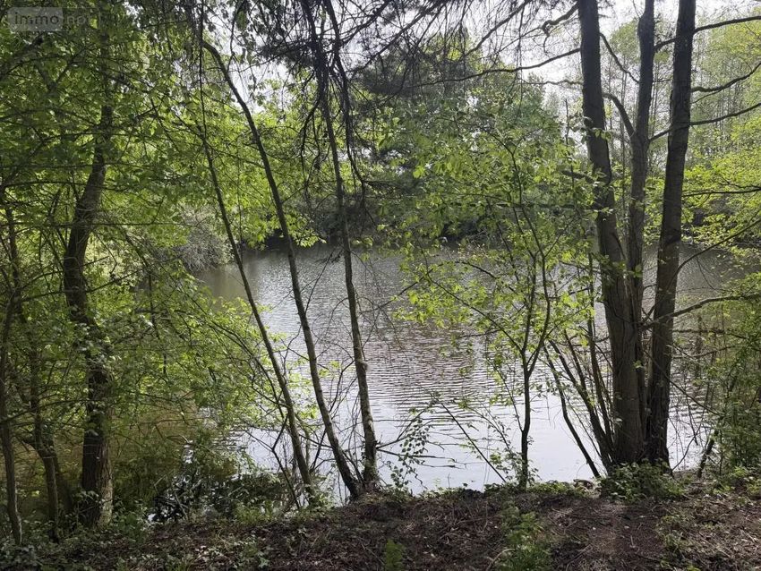 Image de terrain à Segré-en-Anjou Bleu