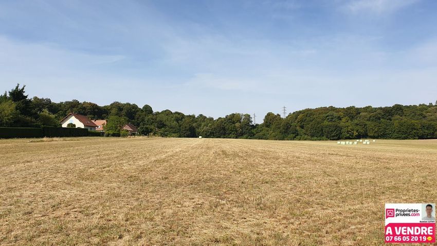 Image de terrain à Bavilliers