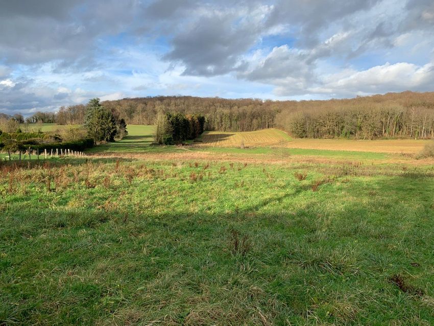 Image de terrain à Barisis-aux-Bois