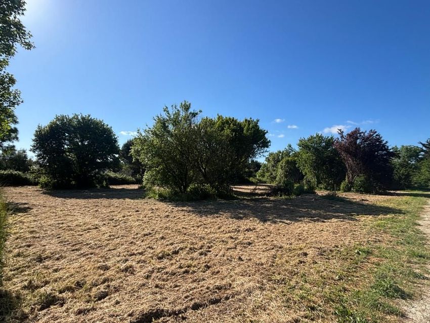 Image de terrain à Saint-Georges-d'Oléron