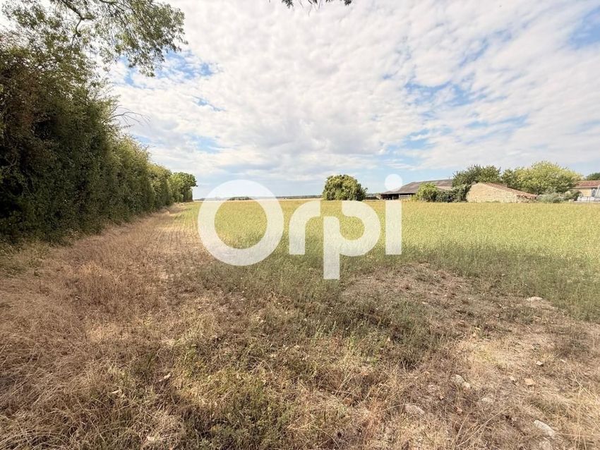 Image de terrain à Dœuil-sur-le-Mignon