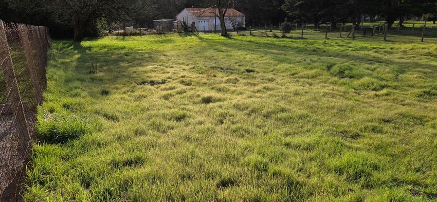 Image de terrain à Saint-Hilaire-de-Riez