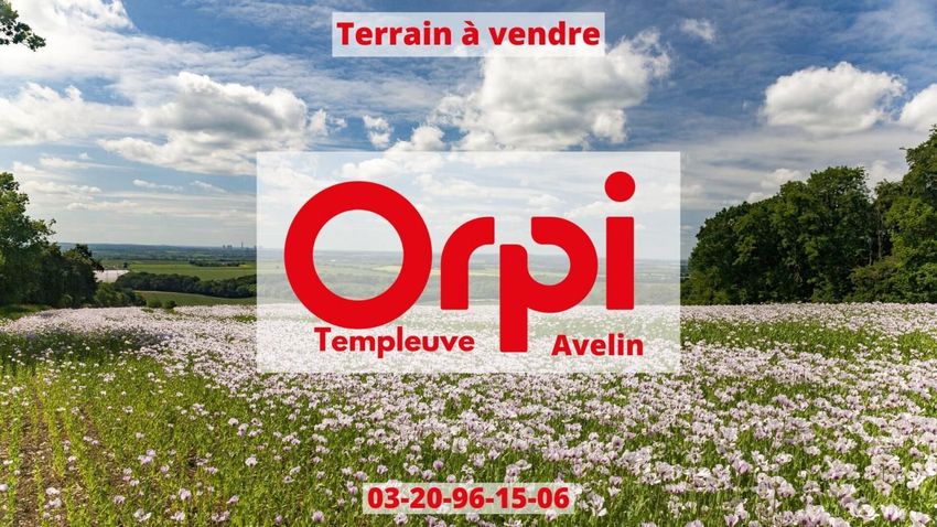 Image de terrain à Bersée