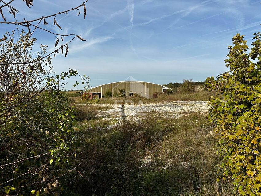 Image de terrain à Baugy