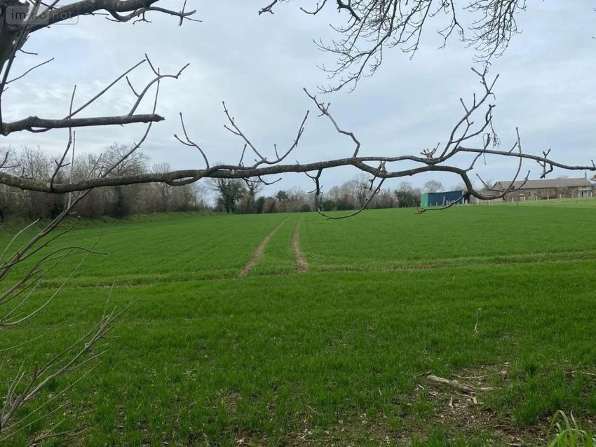 Image de terrain à Vire Normandie