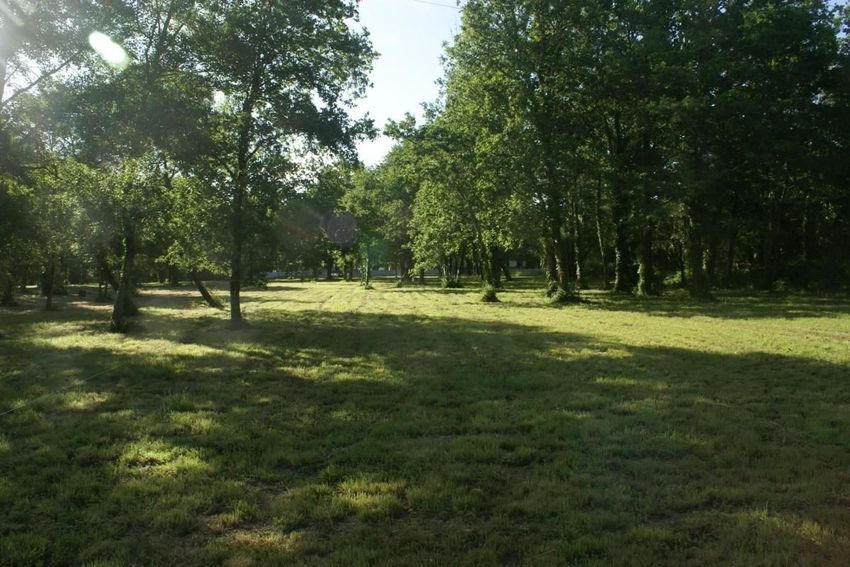 Image de terrain à Saint-Vivien-de-Médoc