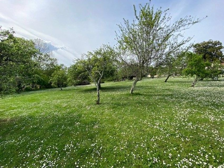Image de terrain à Saint-Selve