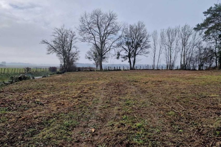 Image de terrain à Montagny-lès-Seurre