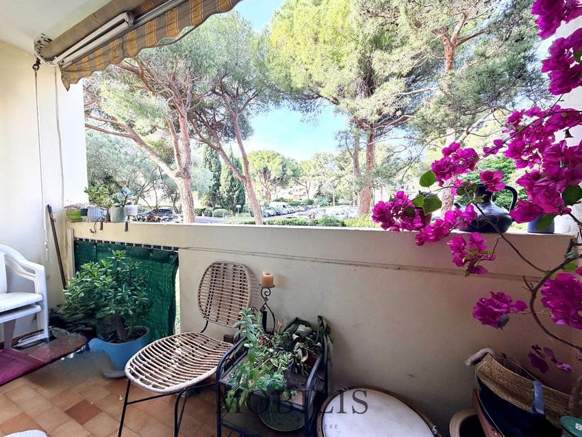 Image Terrasse à appartement de Marseille 1er Arrondissement