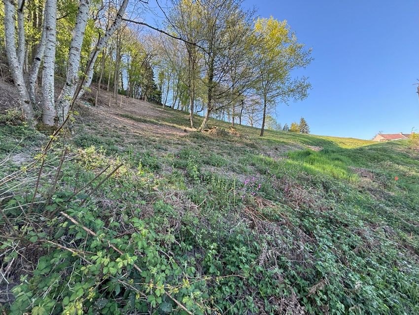 Image de terrain à Sanvignes-les-Mines