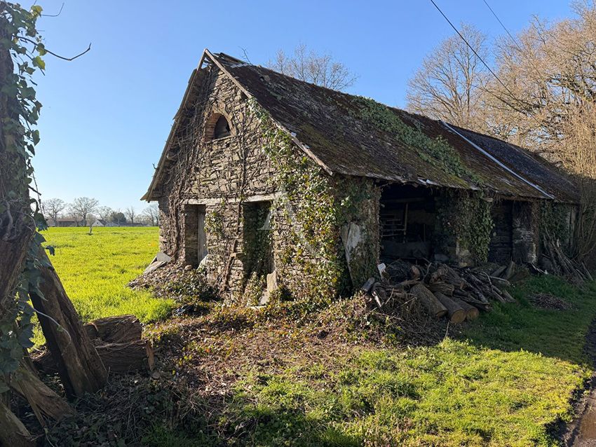 Image de terrain à Jans