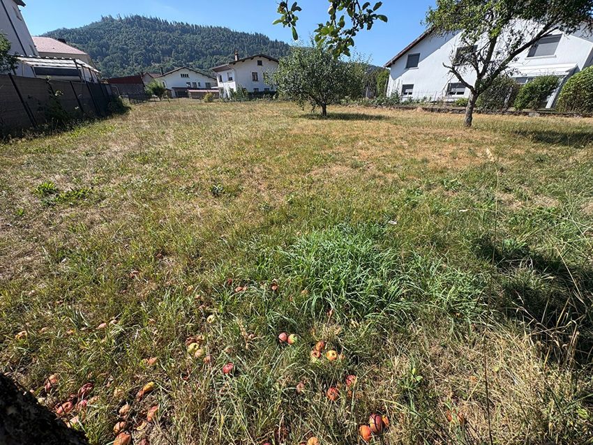 Image de terrain à Rupt-sur-Moselle