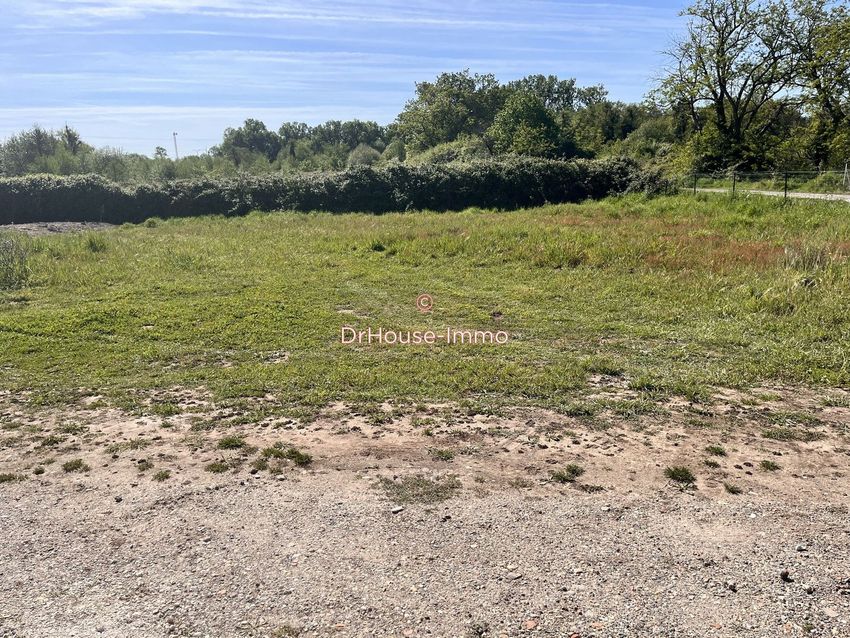 Image de terrain à Cadaujac