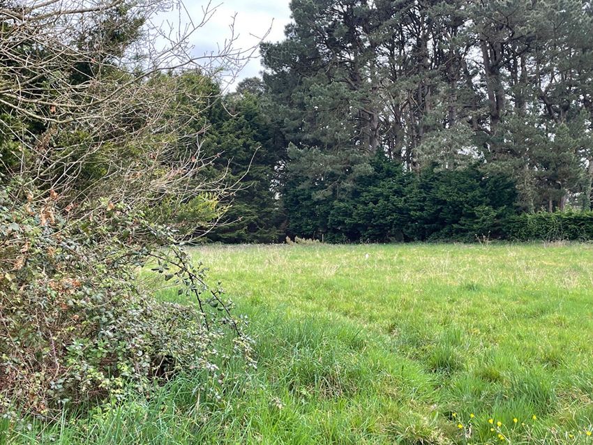 Image de terrain à Saint-Lyphard