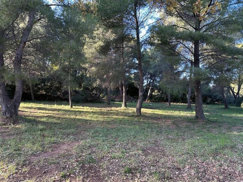 Image de terrain à Ollioules