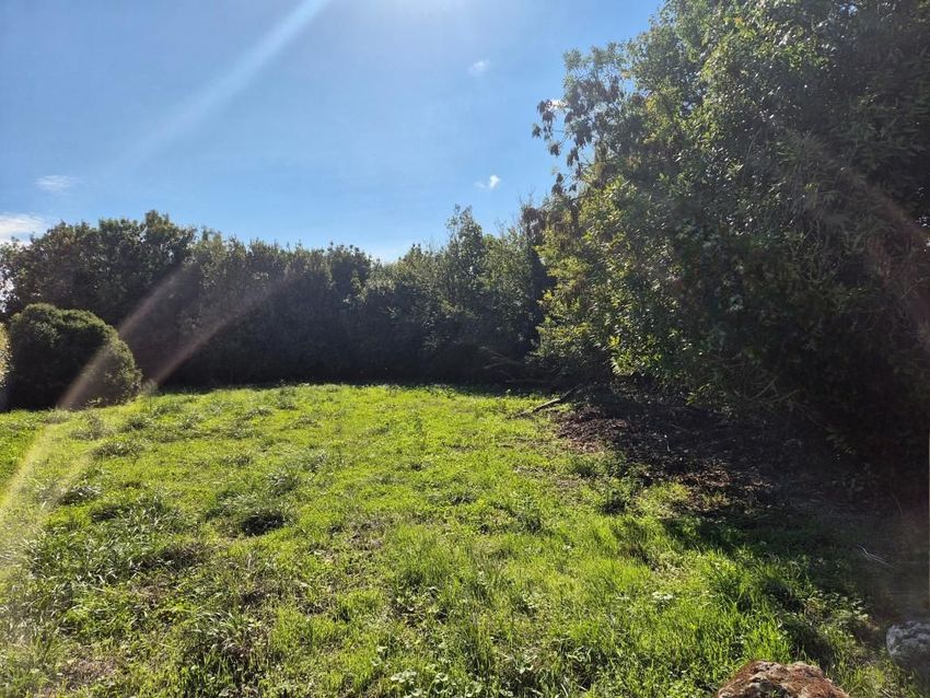 Image de terrain à Saint-Pierre-d'Oléron