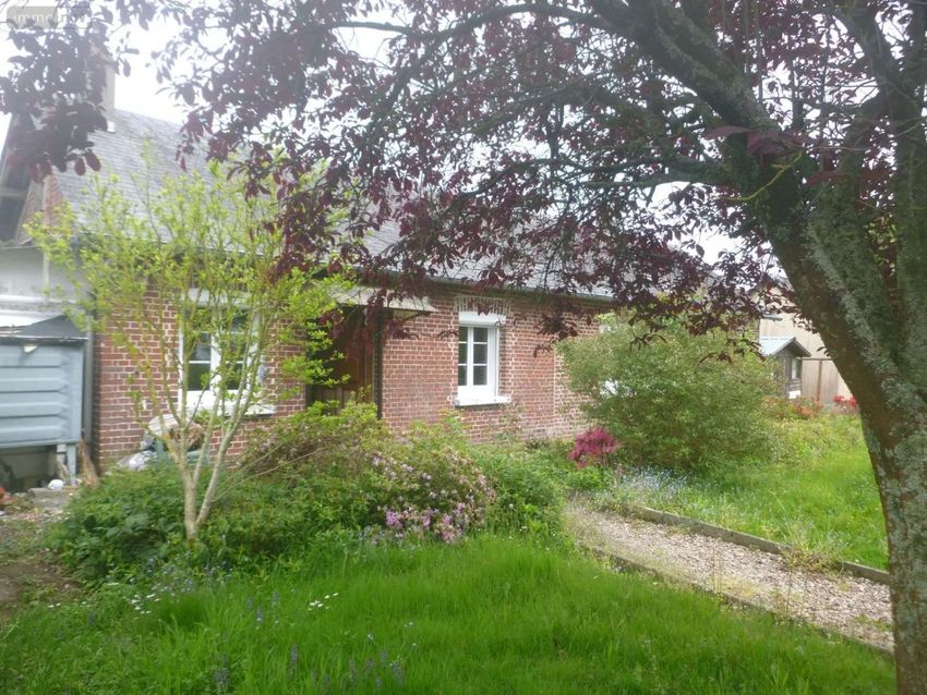 Image Jardin à  maison individuelle de Doudeville