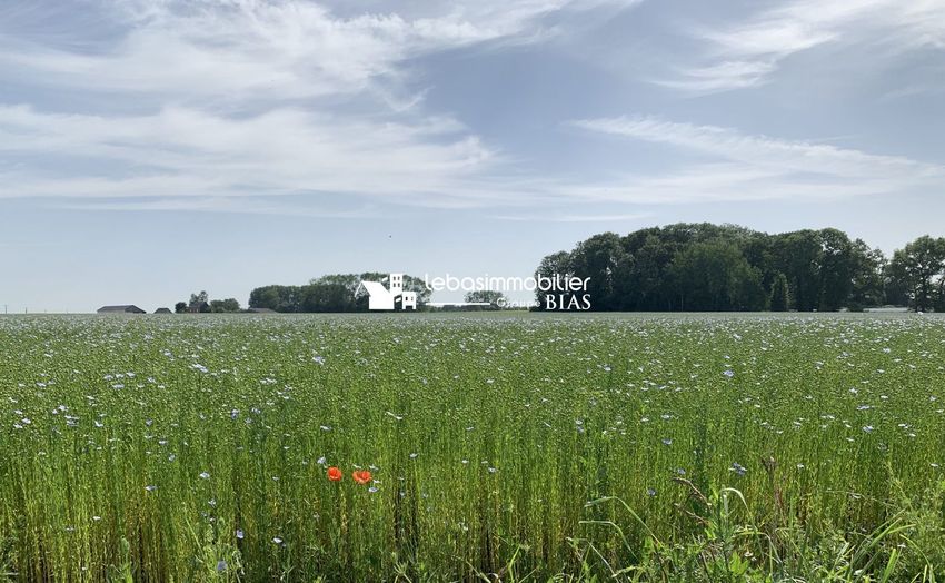 Image de terrain à Valliquerville