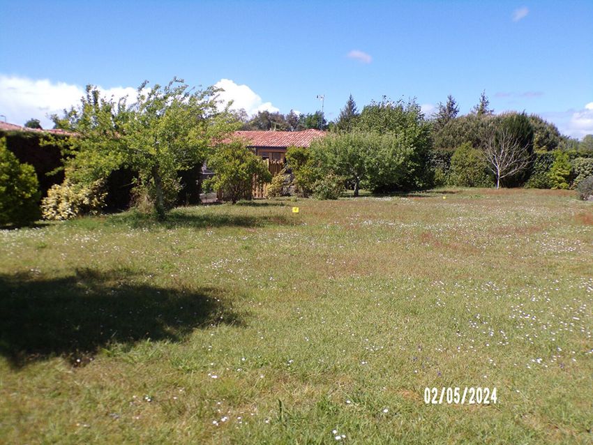 Image de terrain à Soustons