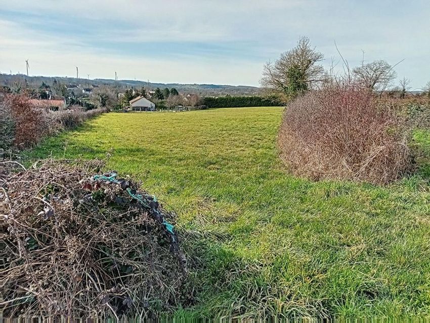 Image de terrain à Saint-Martinien