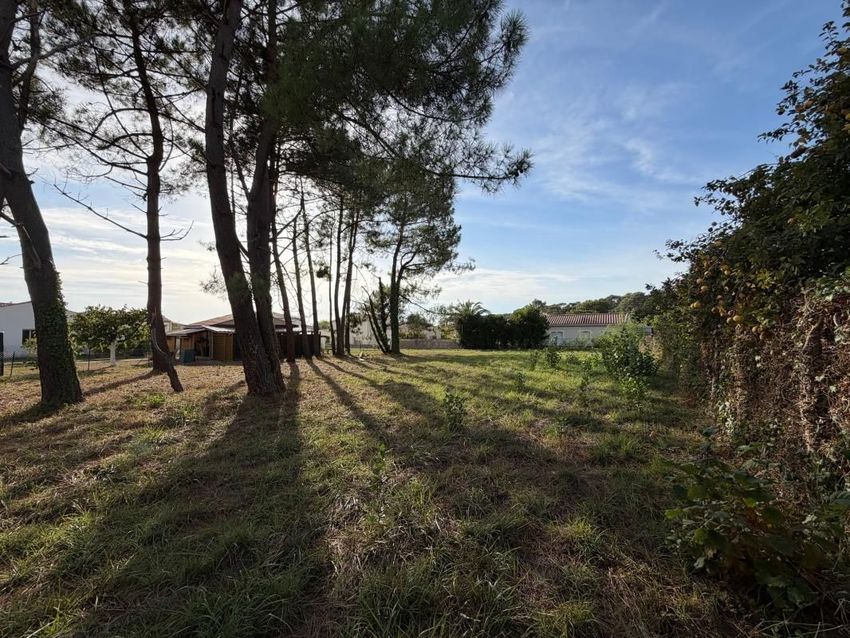 Image de terrain à Saint-Palais-sur-Mer