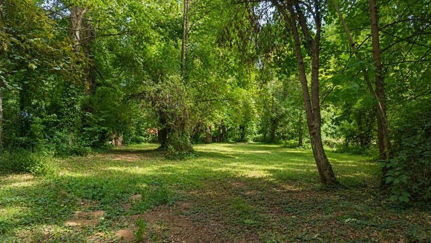 Image de terrain à Handschuheim