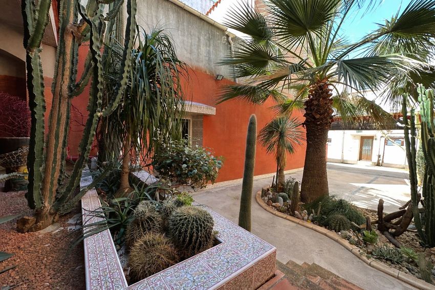 Image Jardin à  maison mitoyenne de Argelès-sur-Mer
