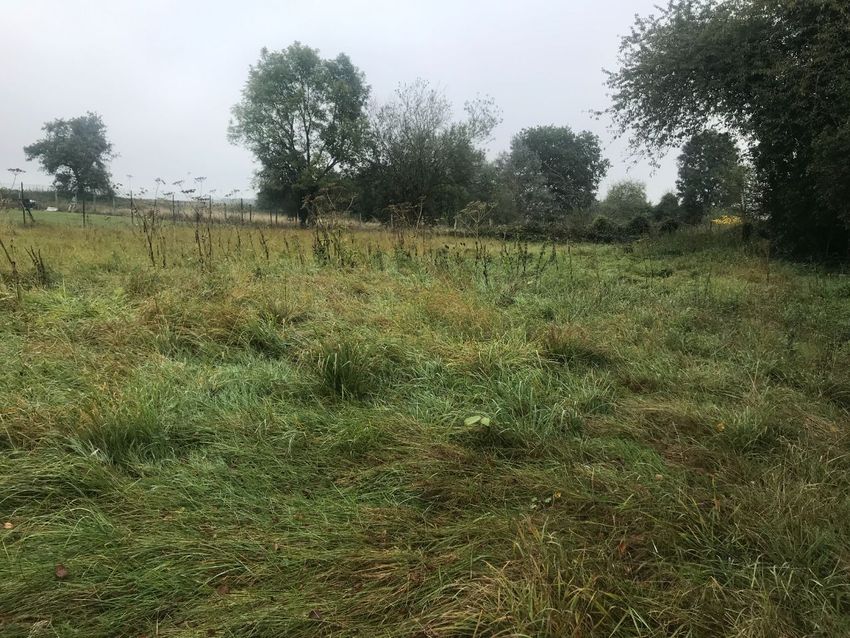 Image de terrain à Arces-Dilo
