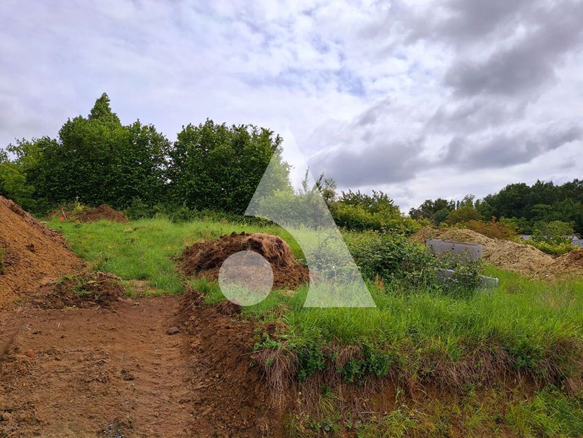 Image de terrain à Blaison-Saint-Sulpice
