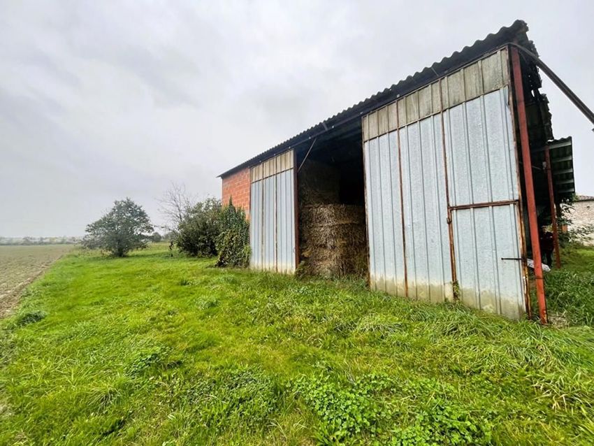 Image de terrain à Merles