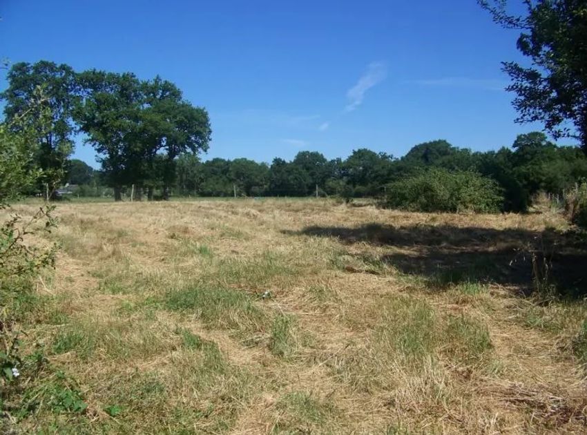 Image de terrain à Carquefou