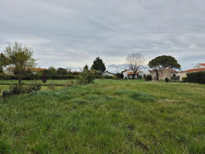 Image de terrain à Le Château-d'Oléron