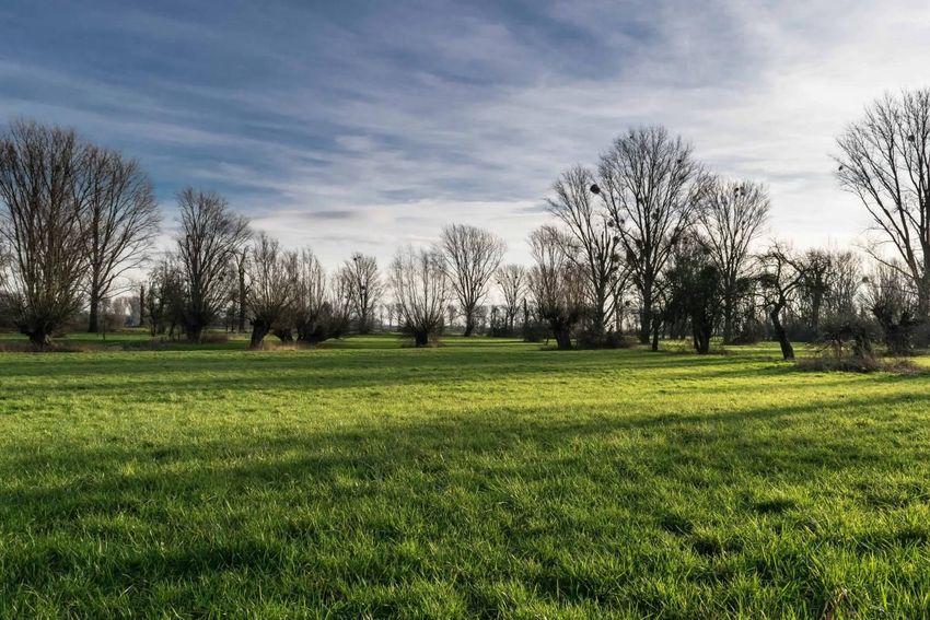 Image de terrain à Mantes-la-Ville