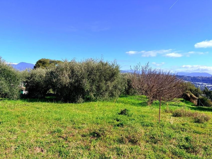 Image de terrain à Saint-Laurent-du-Var