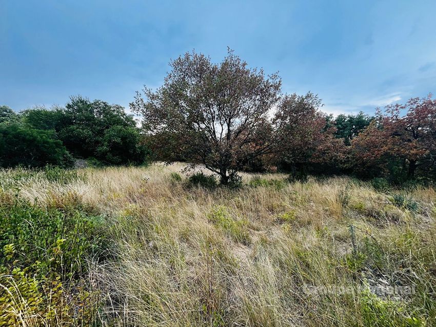 Image de terrain à Salazac