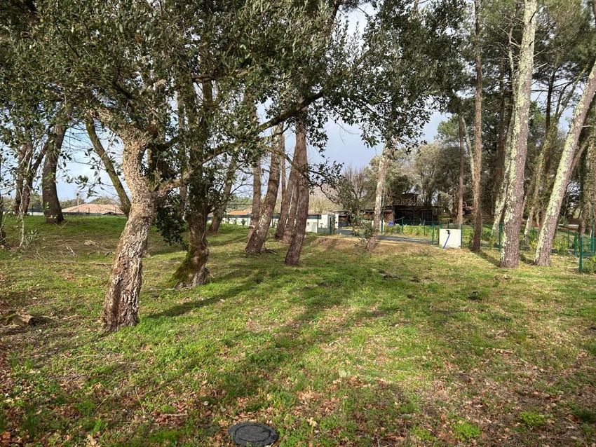 Image de terrain à Labenne
