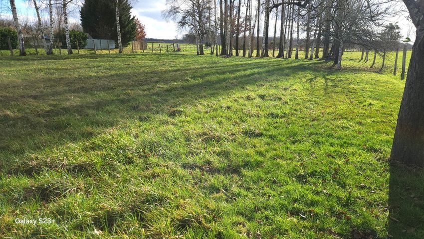 Image de terrain à Chauffour-lès-Bailly