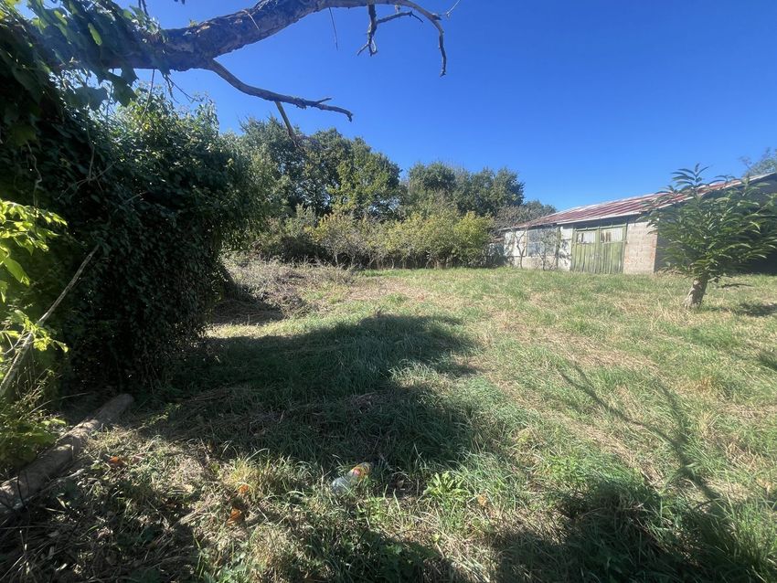 Image de terrain à Paulx
