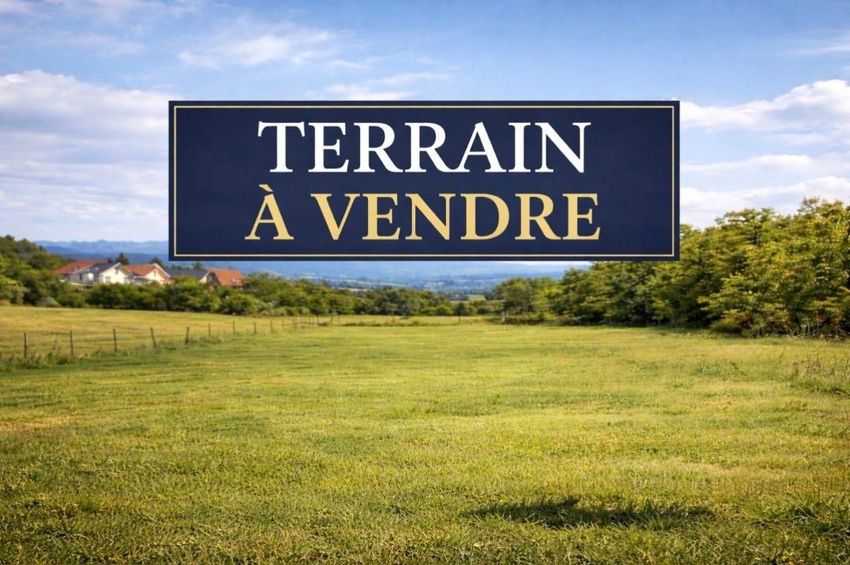 Image de terrain à Vic-de-Chassenay