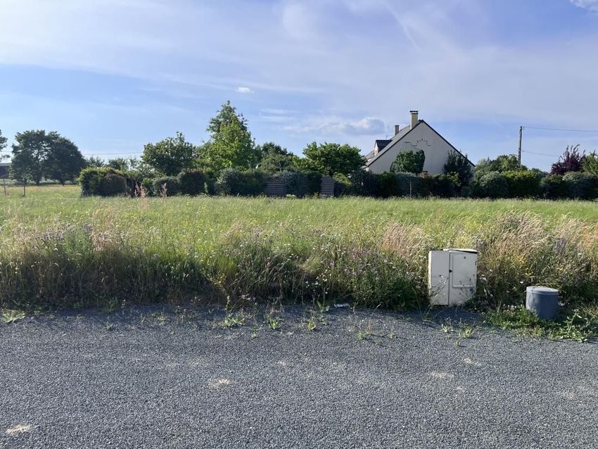 Image de terrain à Mauges-sur-Loire