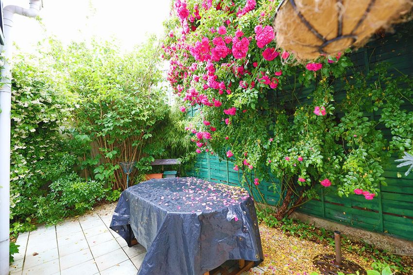 Image Jardin à  maison individuelle de Chatou