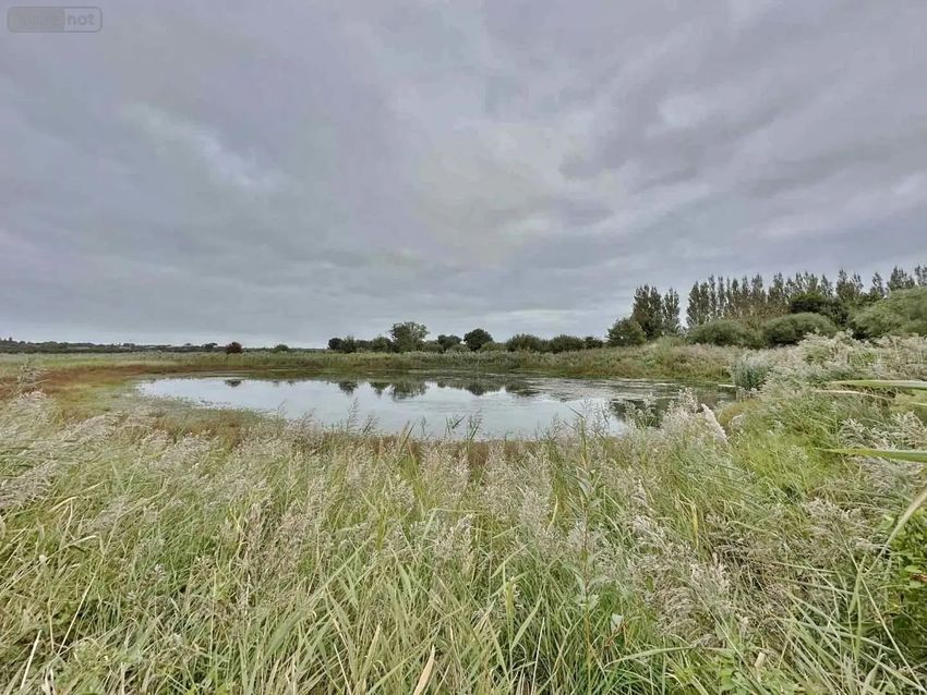 Image de terrain à Bretteville-sur-Ay
