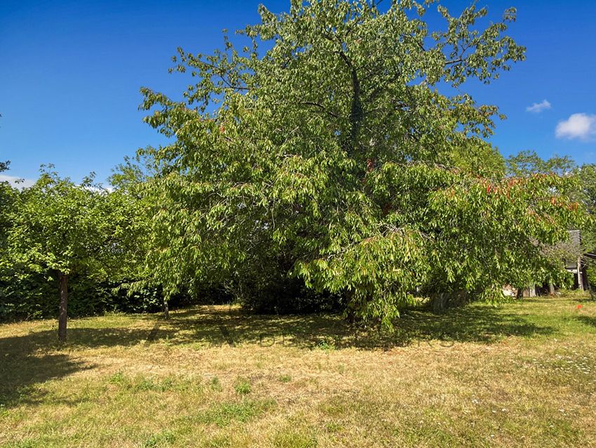Image de terrain à Elbeuf