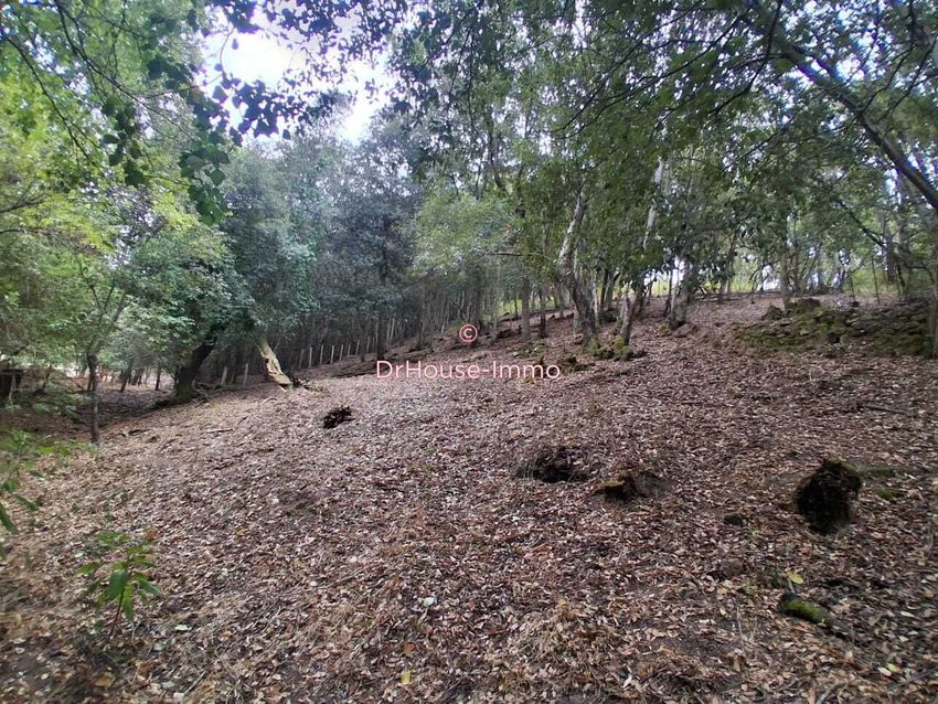 Image de terrain à Alata