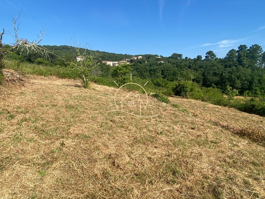 Image Vue à terrain de Saint-Paul-le-Jeune