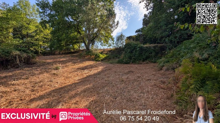 Image de terrain à Brive-la-Gaillarde