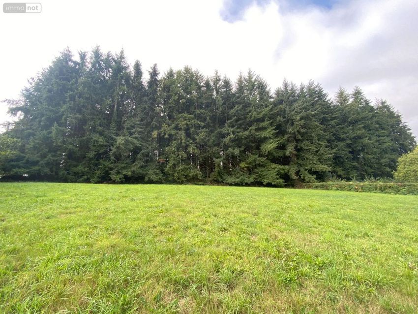 Image de terrain à Louvigné-du-Désert