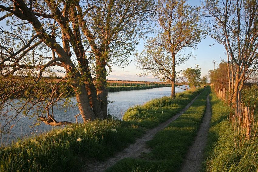 Image de terrain à Lunel