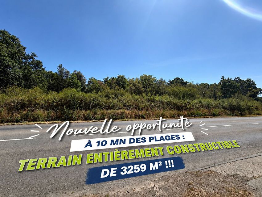 Image de terrain à Avrillé