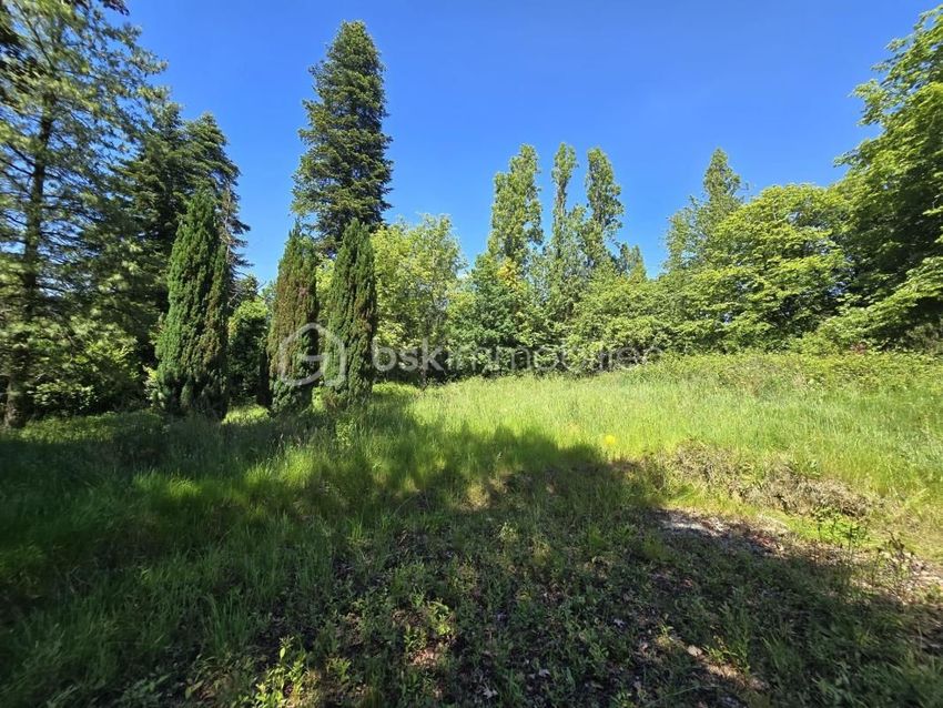 Image de terrain à Pléchâtel